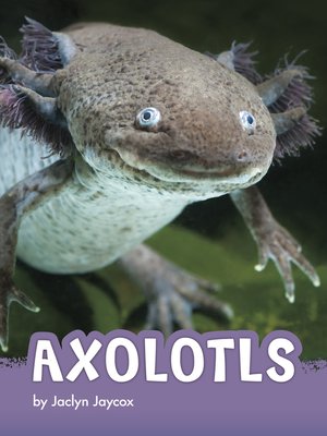 cover image of Axolotls